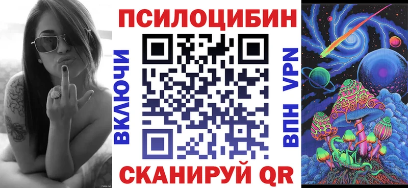 купить наркоту  Елизово  Галлюциногенные грибы ЛСД 